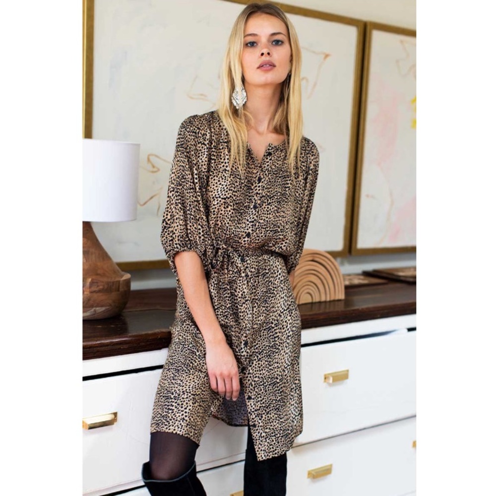 Emerson Fry Leopard Print Button-Front Shirt Dress in Tan and Black